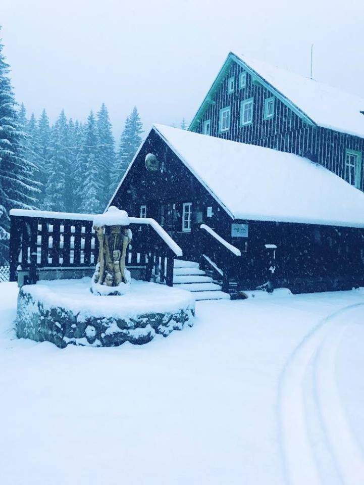 Chata - Sport - Ski Kořenov エクステリア 写真